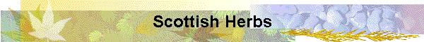 Scottish Herbs